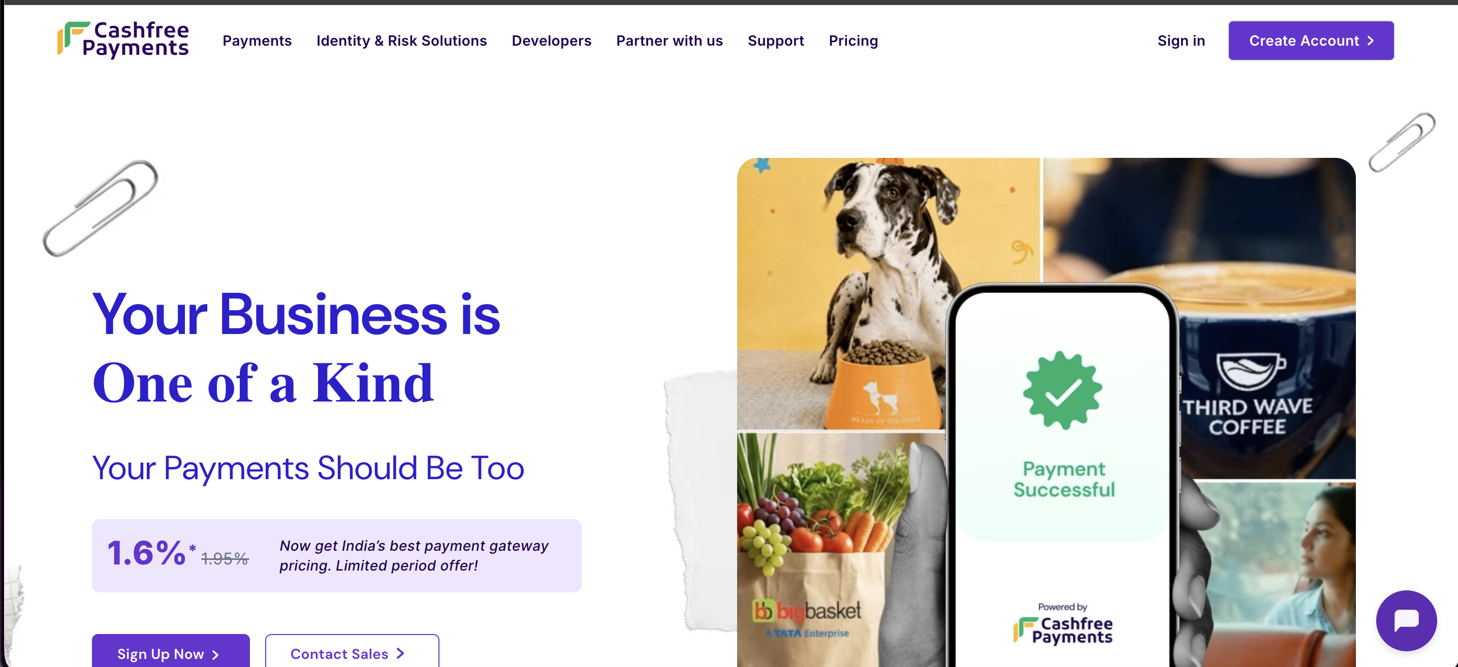 Cashfree Payments website